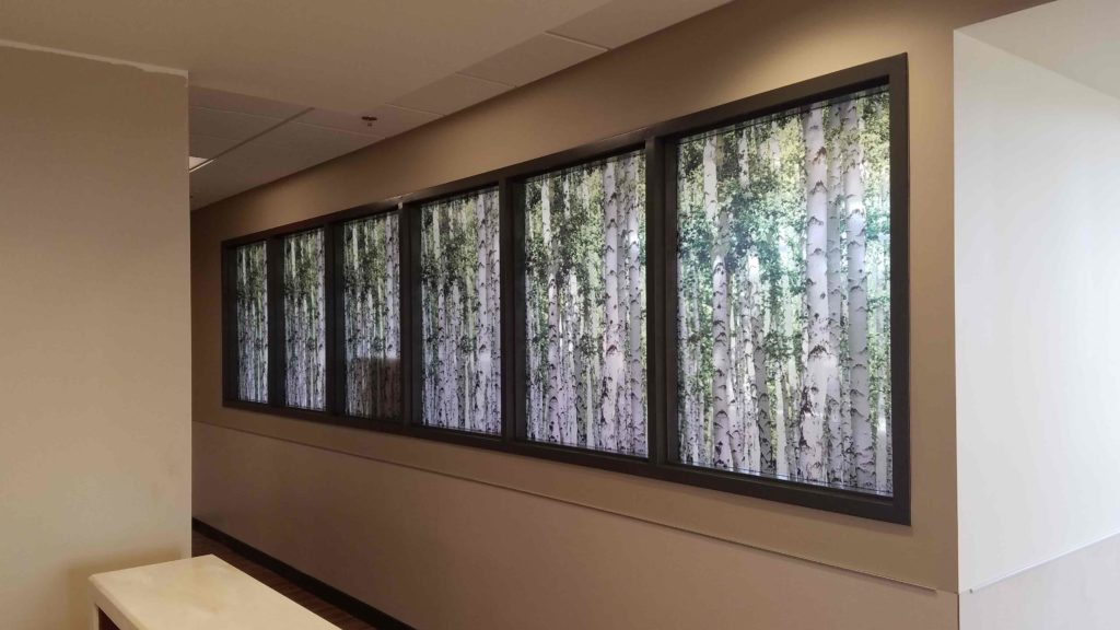 Custom Graphic Film Improves Privacy & Decor at Beaumont Hospital 2