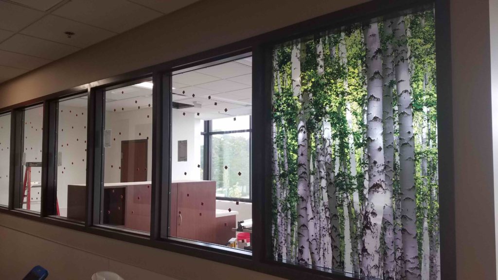 Custom Graphic Film Improves Privacy & Decor at Beaumont Hospital 4