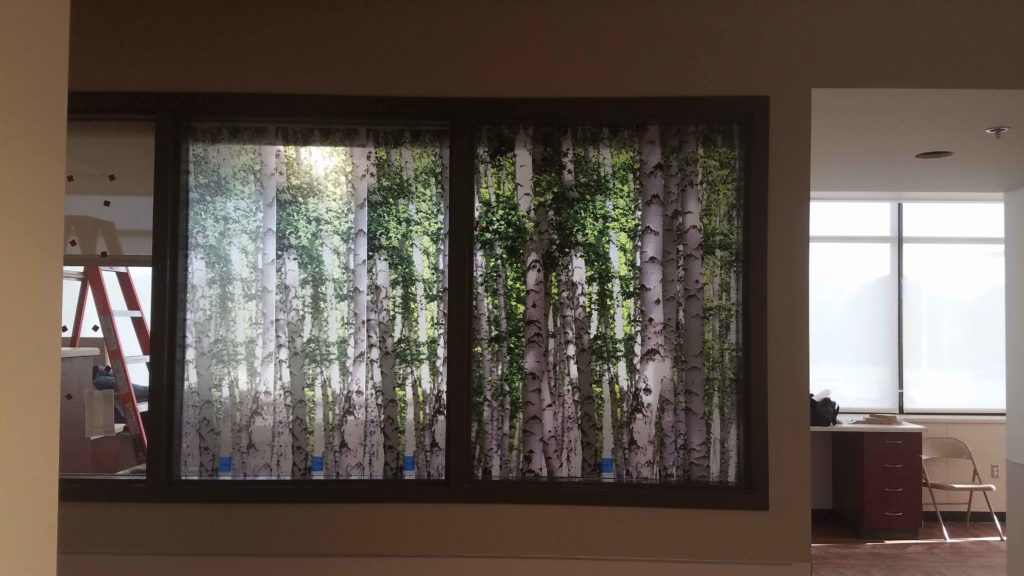 Custom Graphic Film Improves Privacy & Decor at Beaumont Hospital 3