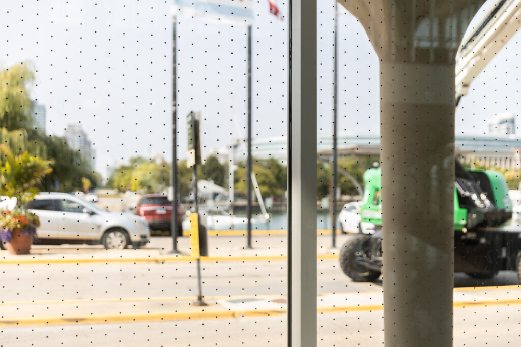 Bird-Friendly Window Film Detroit